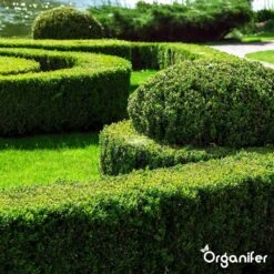 Lavameel Uit Eifel Oergesteente (20Kg Voor 200m2) Organifer -Gardena Verkoopwinkel 1200x1200 468