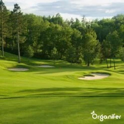 Kalk Korrel Meststof Verrijkt Met Magnesium (5Kg - Voor 100m2) Voor Dieper Bladgroen (+PH) Speciaal Voor Gazon, Perken, Moestuin En Openbaar Groen - Organifer -Gardena Verkoopwinkel 1200x1200 481