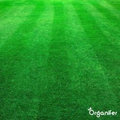 Kalk Korrel Meststof Verrijkt Met Magnesium (5Kg - Voor 100m2) Voor Dieper Bladgroen (+PH) Speciaal Voor Gazon, Perken, Moestuin En Openbaar Groen - Organifer -Gardena Verkoopwinkel 1200x1200 486