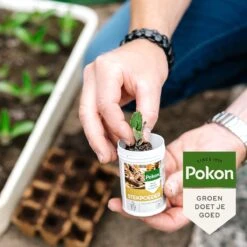Pokon Stekpoeder - 25gr - Stimuleert Wortelvorming -Gardena Verkoopwinkel 1200x1200 494