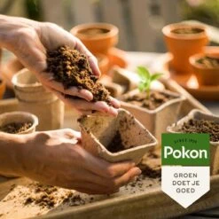 Pokon Stekpoeder - 25gr - Stimuleert Wortelvorming -Gardena Verkoopwinkel 1200x1200 495