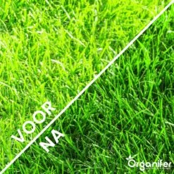 Gazonmest All-In-One (5Kg - Voor 100m2) Voor Een Diepgroen Sterk Gazon Zonder Mos En Onkruid - Complete Meststof Met Kalk En Grasversterker - Organifer 20 Gazonmest All-In-One (5Kg - Voor 100m2) Voor Een Diepgroen Sterk Gazon Zonder Mos En Onkruid - Complete Meststof Met Kalk En Grasversterker - Organifer -Gardena Verkoopwinkel 1200x1200 496