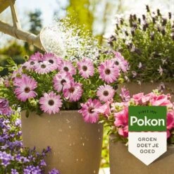 Pokon Terras & Balkonplanten Voeding - 1l - Plantenvoeding - 20ml Per 1L Water -Gardena Verkoopwinkel 1200x1200 517