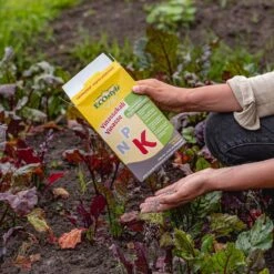 ECOStyle Vinassekali Organische Meststof - Vuor Kaliumtekort - Voor Moestuin, Siertuin En Fruit - Hoger Weerstand Tegen Droogte & Vorst - 15M² - 800 GR -Gardena Verkoopwinkel 1200x1200 525