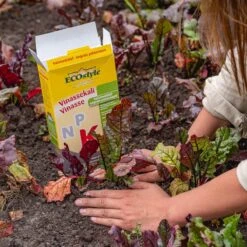 ECOStyle Vinassekali Organische Meststof - Vuor Kaliumtekort - Voor Moestuin, Siertuin En Fruit - Hoger Weerstand Tegen Droogte & Vorst - 15M² - 800 GR -Gardena Verkoopwinkel 1200x1200 526