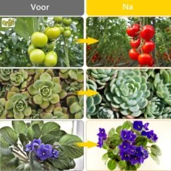 Ortho® - LED Groeilamp - Wit Licht - Bloeilamp - Kweeklamp - Full Spectrum - Grow Light - Groei Lamp (met 3 Lampen) Met Flexibele Lamphouder - Hoge Lichtintensiteit - Klem Spotje - 3x 27 Ortho® - LED Groeilamp - Wit Licht - Bloeilamp - Kweeklamp - Full Spectrum - Grow Light - Groei Lamp (met 3 Lampen) Met Flexibele Lamphouder - Hoge Lichtintensiteit - Klem Spotje - 3x -Gardena Verkoopwinkel 1200x1200 53