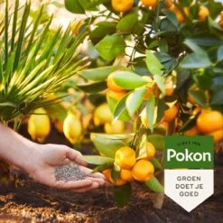 Pokon Mediterrane Planten Mest - 1kg - Meststof - 3-in-1 Werking -Gardena Verkoopwinkel 1200x1200 539
