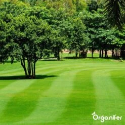 Kalk Korrel Meststof Verrijkt Met Magnesium (20Kg - Voor 400m2) Voor Dieper Bladgroen (+PH) Speciaal Voor Gazon, Perken, Moestuin En Openbaar Groen - Organifer -Gardena Verkoopwinkel 1200x1200 559