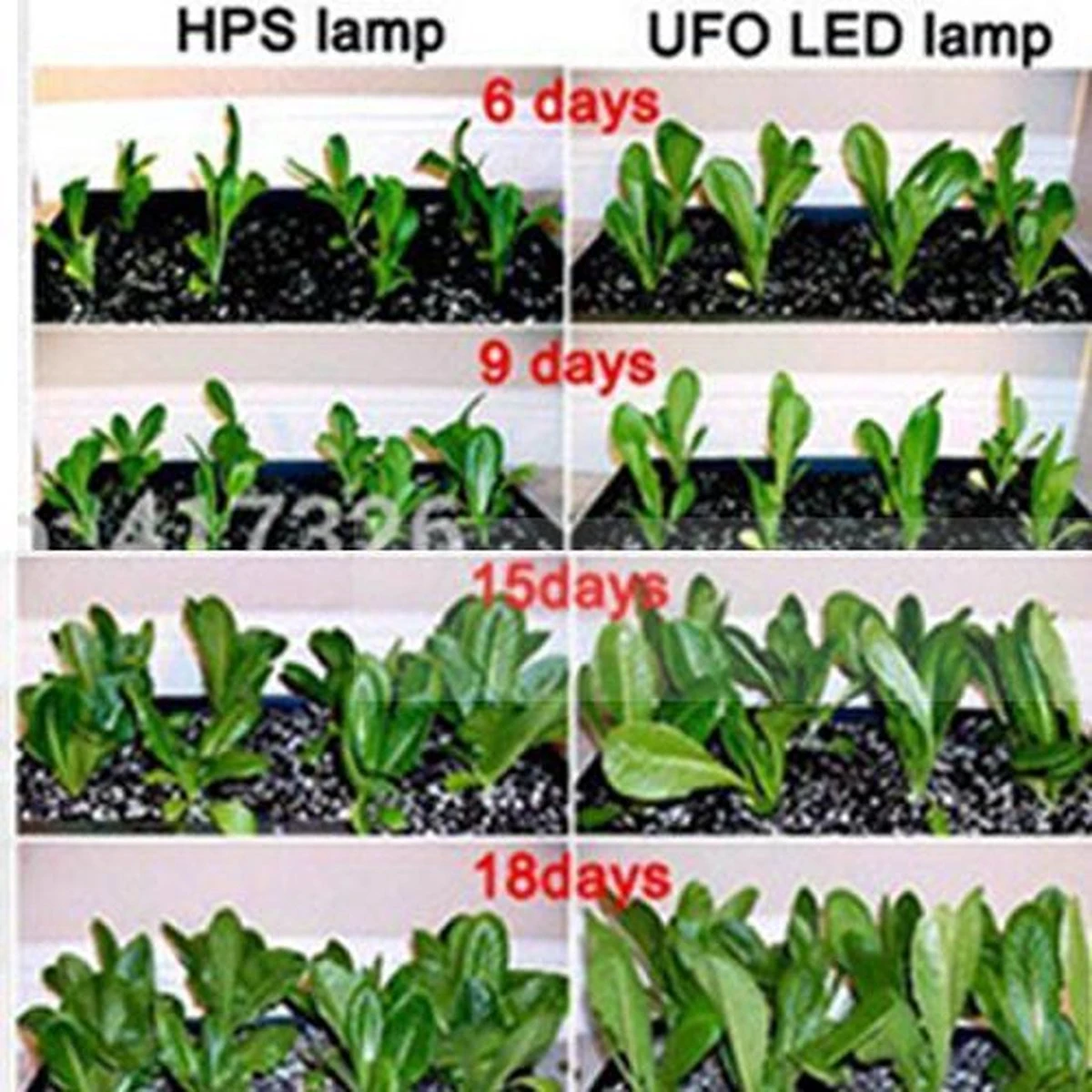 Ortho® - LED Groeilamp - Wit Licht - Bloeilamp - Kweeklamp - Full Spectrum - Grow Light - Groei Lamp (met 3 Lampen) Met Flexibele Lamphouder - Hoge Lichtintensiteit - Klem Spotje - 3x 22 Ortho® - LED Groeilamp - Wit Licht - Bloeilamp - Kweeklamp - Full Spectrum - Grow Light - Groei Lamp (met 3 Lampen) Met Flexibele Lamphouder - Hoge Lichtintensiteit - Klem Spotje - 3x - Afbeelding 20