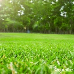 Kalk Korrel Meststof Verrijkt Met Magnesium (20Kg - Voor 400m2) Voor Dieper Bladgroen (+PH) Speciaal Voor Gazon, Perken, Moestuin En Openbaar Groen - Organifer -Gardena Verkoopwinkel 1200x1200 563