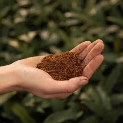 SYBASoil Kokosvezel 3L - Zoutvrij - Perfect Voor Stekken & Zaaien -Gardena Verkoopwinkel 1200x1200 57