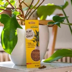 ECOstyle PlantKracht Voedingssticks - Sterke En Weerbare Potplanten - 100% Organische Planten - 120 Dagen Voeding - 30 Stuks 7 ECOstyle PlantKracht Voedingssticks - Sterke En Weerbare Potplanten - 100% Organische Planten - 120 Dagen Voeding - 30 Stuks -Gardena Verkoopwinkel 1200x1200 573