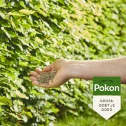 Pokon Beuken & Hagen Mest - 2,5kg - Meststof - 3-in-1 Werking -Gardena Verkoopwinkel 1200x1200 584