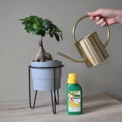 Pokon Bonsai Voeding - 250ml - Plantenvoeding - 10ml Per 1L Water -Gardena Verkoopwinkel 1200x1200 587