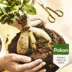 Pokon Bonsai Voeding - 250ml - Plantenvoeding - 10ml Per 1L Water -Gardena Verkoopwinkel 1200x1200 588