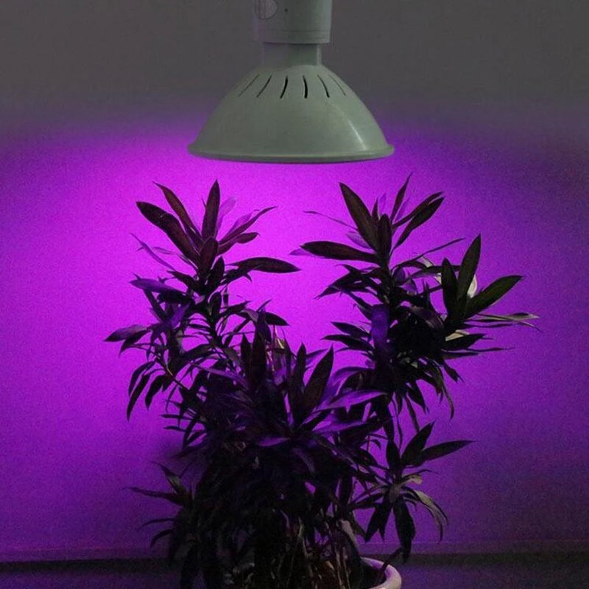 Merkloos Led Kweeklamp - Groeilamp - Bloeilamp Voor Planten - E27 Fitting - 200 LEDS - Met Klemhouder 4 Merkloos Led Kweeklamp - Groeilamp - Bloeilamp Voor Planten - E27 Fitting - 200 LEDS - Met Klemhouder - Afbeelding 2
