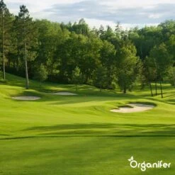 Gazonmest All-In-One (10Kg - Voor 200m2) Voor Een Diepgroen Sterk Gazon Zonder Mos En Onkruid - Complete Meststof Met Kalk En Grasversterker - Organifer -Gardena Verkoopwinkel 1200x1200 624