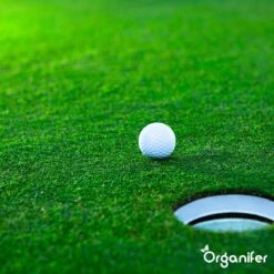 Gazonmest All-In-One (10Kg - Voor 200m2) Voor Een Diepgroen Sterk Gazon Zonder Mos En Onkruid - Complete Meststof Met Kalk En Grasversterker - Organifer -Gardena Verkoopwinkel 1200x1200 628