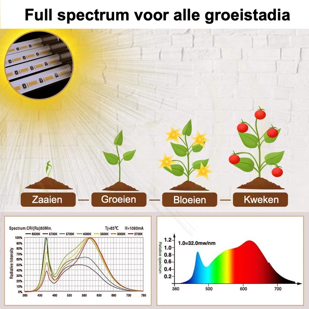 A Sunny Day Kweeklamp LED Wit Licht Inclusief Statief En USB Voeding - 160 Cm - Groeilamp Voor Planten - Zonlicht Lamp - Bloei Planten - Grow Light - 40 Watt - Automatisch Timer Voor 3-9-12 Uur 5 A Sunny Day Kweeklamp LED Wit Licht Inclusief Statief En USB Voeding - 160 Cm - Groeilamp Voor Planten - Zonlicht Lamp - Bloei Planten - Grow Light - 40 Watt - Automatisch Timer Voor 3-9-12 Uur - Afbeelding 3