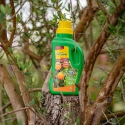 ECOstyle Citrus & Olijf Voeding - Stevige Vrucht - Langdurige Werking - Voor Alle Mediterrane Planten En Bomen 500 ML -Gardena Verkoopwinkel 1200x1200 632