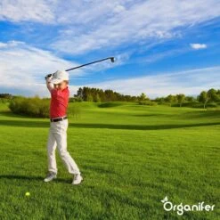 Lavagruis Uit Eifel Oergesteente (20Kg Voor 200m2) Grof Lavameel 0-2mm - Organifer 24 Lavagruis Uit Eifel Oergesteente (20Kg Voor 200m2) Grof Lavameel 0-2mm - Organifer -Gardena Verkoopwinkel 1200x1200 648