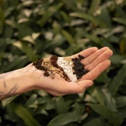 SYBASoil Cactus & Vetplant Mix 5L - Turfvrije Potgrond Mix - 6 Maanden Voeding 15 SYBASoil Cactus & Vetplant Mix 5L - Turfvrije Potgrond Mix - 6 Maanden Voeding -Gardena Verkoopwinkel 1200x1200 72