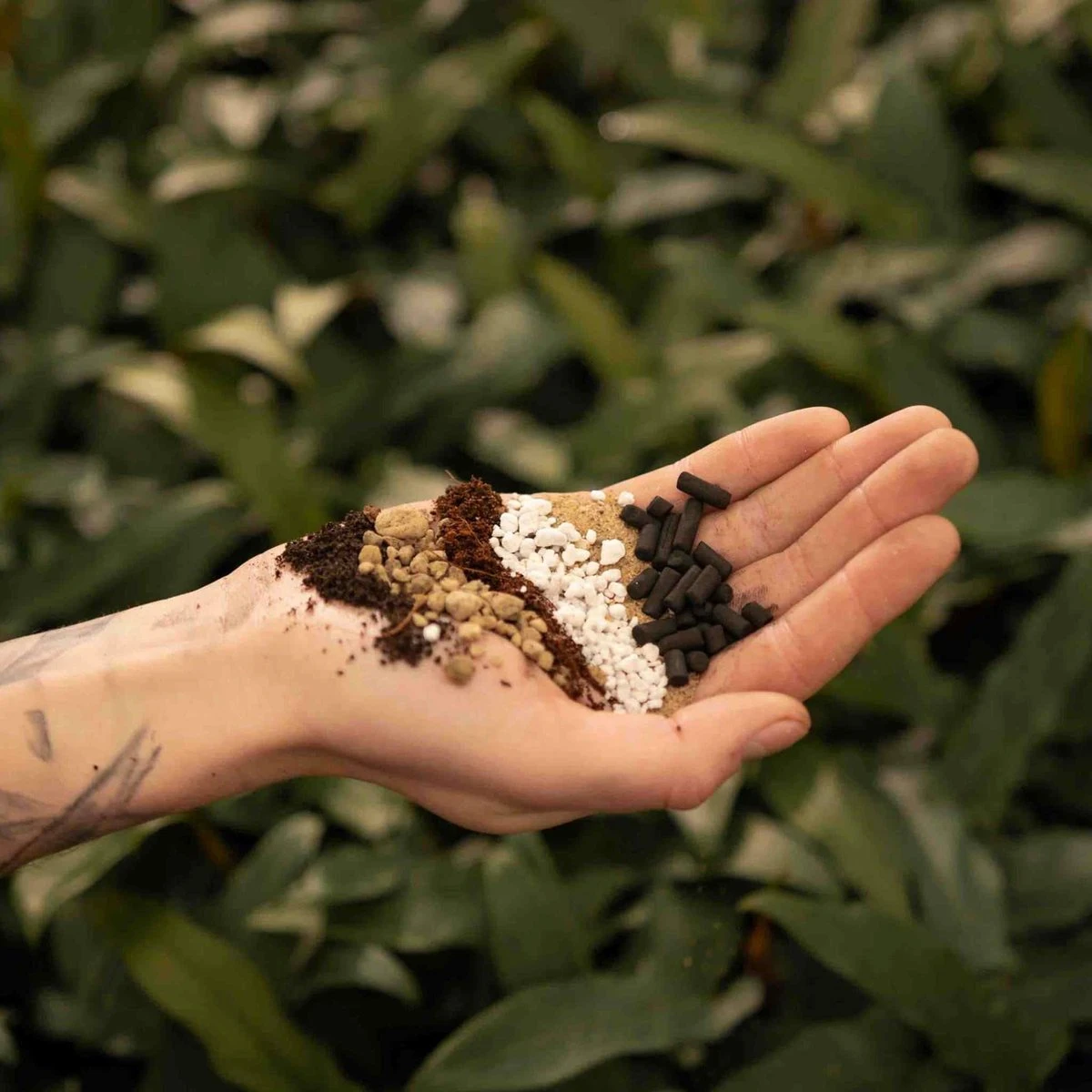 SYBASoil Cactus & Vetplant Mix 5L - Turfvrije Potgrond Mix - 6 Maanden Voeding 7 SYBASoil Cactus & Vetplant Mix 5L - Turfvrije Potgrond Mix - 6 Maanden Voeding - Afbeelding 5