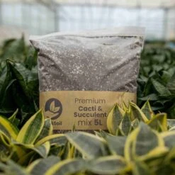 SYBASoil Cactus & Vetplant Mix 5L - Turfvrije Potgrond Mix - 6 Maanden Voeding 18 SYBASoil Cactus & Vetplant Mix 5L - Turfvrije Potgrond Mix - 6 Maanden Voeding -Gardena Verkoopwinkel 1200x1200 75