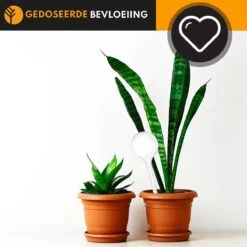 Waterdruppelaar Set Van 6 Stuks Voor Planten Transparant – 27 CM – Automatisch Watergeefsysteem Voor Kamerplanten – Planten Watergever Met Druppelsysteem – Waterbol -Gardena Verkoopwinkel 1200x1200 750