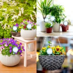 Druppelsysteem 12 Stuks Waterdruppelaar Voor Planten - Waterafgiftesysteem Voor 2 Weken - Beregening Voor Kamerplanten 15 Druppelsysteem 12 Stuks Waterdruppelaar Voor Planten - Waterafgiftesysteem Voor 2 Weken - Beregening Voor Kamerplanten -Gardena Verkoopwinkel 1200x1200 783