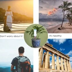 BOTC Waterdruppelaar Set Van 6 Stuks Voor Planten - Watergeefsysteem -Gardena Verkoopwinkel 1200x1200 867