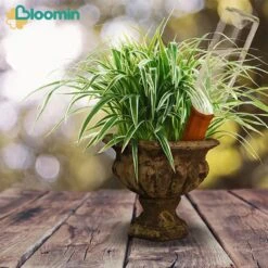 Bloomin Waterdruppelaar Van Terracotta - Waterdruppelaar Voor Planten - Druppelsysteem - Irrigatiesysteem - Watergeefsysteem - Bewateringssysteem - 8 Stuks -Gardena Verkoopwinkel 1200x1200 891