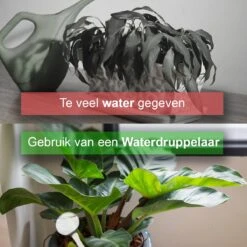 Waterdruppelaar Set Van 12 Stuks - Waterdruppelaar Voor Planten - Watergeefsysteem - Waterbol Irrigatiesysteem - Automatisch Druppelsysteem Voor Kamerplanten & Tuin - Watergever - Transparant - 15cm -Gardena Verkoopwinkel 1200x1200 942