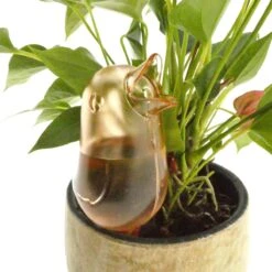 JS Drippy - Waterdruppelaars Set Van 2 Stuks - Druppelaar Vogel - Druppelsysteem Planten - Watergeefsysteem Kamerplanten - Waterbol - Roze -Gardena Verkoopwinkel 1200x1200 945