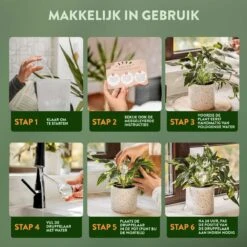 STFF & Co® Waterdruppelaar Voor Planten – Irrigatiesysteem Automatisch Watergeefsysteem – Waterbollen Voor Planten – Bewateringssysteem – 8 Stuks - 5cm 10 STFF & Co® Waterdruppelaar Voor Planten – Irrigatiesysteem Automatisch Watergeefsysteem – Waterbollen Voor Planten – Bewateringssysteem – 8 Stuks - 5cm -Gardena Verkoopwinkel 1200x1200 966