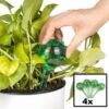Merkloos Decopatent® 4 Stuks - Waterdruppelaar Voor Planten - Watergever - Glas - Waterbollen - Watergeefsysteem - Plantenbollen - Groen 2 Merkloos Decopatent® 4 Stuks - Waterdruppelaar Voor Planten - Watergever - Glas - Waterbollen - Watergeefsysteem - Plantenbollen - Groen -Gardena Verkoopwinkel 1200x1200 980