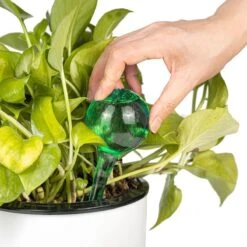 Merkloos Decopatent® 4 Stuks - Waterdruppelaar Voor Planten - Watergever - Glas - Waterbollen - Watergeefsysteem - Plantenbollen - Groen -Gardena Verkoopwinkel 1200x1200 982