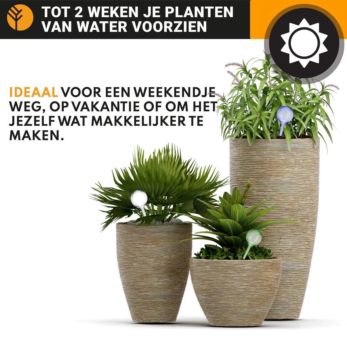 Waterdruppelaar Blauw Set Van 6 Stuks Voor Planten – 27 CM – Automatisch Watergeefsysteem Voor Kamerplanten – Planten Watergever Met Druppelsysteem – Waterbol 4 Waterdruppelaar Blauw Set Van 6 Stuks Voor Planten – 27 CM – Automatisch Watergeefsysteem Voor Kamerplanten – Planten Watergever Met Druppelsysteem – Waterbol - Afbeelding 2