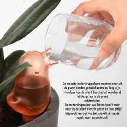 Waterdruppelaar Voor Planten 2 Stuks - Waterbol Kamerplanten - Automatisch Watergeefsysteem - Vogel - Roze 10 Waterdruppelaar Voor Planten 2 Stuks - Waterbol Kamerplanten - Automatisch Watergeefsysteem - Vogel - Roze -Gardena Verkoopwinkel 1200x1200 988