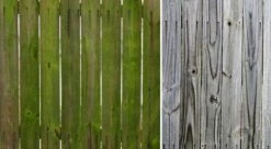 Groene Aanslag Verwijderaar | Biomos | Mos | Algen | HC Fix | 10L -Gardena Verkoopwinkel 1200x659