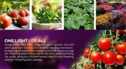 E27 LED Groeilamp Voor Kwekers - 5w Groeilamp - Kweeklamp - 5 Watt - E27 Fitting - Grow Light - Kweektunnel - Bloeilamp - UV Lamp - Groeilicht - Ontkiemen - Planten Groeien -Gardena Verkoopwinkel 1200x660