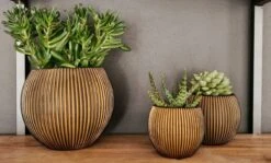 Capi Europe - Set Van 3 - Bloempot Binnen - Groove - - Goud - Bloempot Voor Binnen - BOX-BGVGB-3 -Gardena Verkoopwinkel 1200x723 3