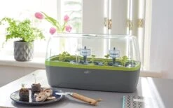 Kweekbak Propagator - Groeikas Vensterbank - Kweekkas - Kweekset - Zaaibak Binnen -Gardena Verkoopwinkel 1200x750 1