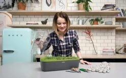 Kweekbak Propagator - Groeikas Vensterbank - Kweekkas - Kweekset - Zaaibak Binnen -Gardena Verkoopwinkel 1200x750