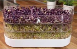 Buzzy® Organic Sprouting Tower 3 Laags -Gardena Verkoopwinkel 1200x764