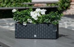 Cobble Trio - Design Kruidenpot Met Bewateringssysteem - Antraciet - Kruidenbak - Kweekbak - Plantenbak