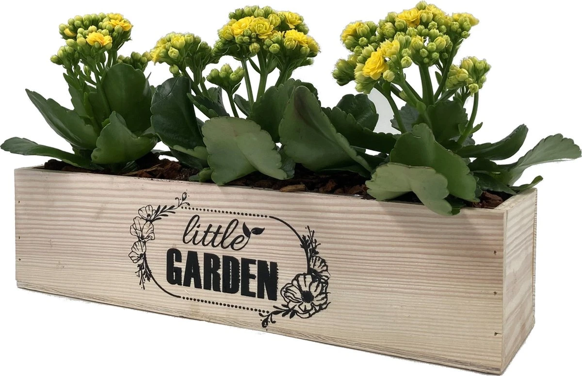 GARDEN SPIRIT Kruidenbak Op Pootjes Bloembak 34 X 9 X 10 Cm - Kweekbak 6 GARDEN SPIRIT Kruidenbak Op Pootjes Bloembak 34 X 9 X 10 Cm - Kweekbak - Afbeelding 4