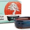 Happy Seed Keramieken Bonsai Pot (schaal) - Marine Blauw - Geglazuurd -Gardena Verkoopwinkel 1200x779 2