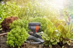 GARDENA - Zwenksproeier AquaZoom Compact - Tuinsproeier - 9 Tot 216 M² -Gardena Verkoopwinkel 1200x785