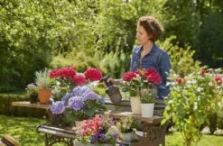 Gardena Plantenspuit 1 Liter -Gardena Verkoopwinkel 1200x788 2